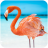 icon The Flamingo(O Flamingo
) 1.0.9