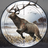 icon Deer Hunting 2(Deer Hunting 2: Hunting Season
) 1.1.4