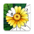 icon Color Oasis(Color Oasis - Color by Number) 1.2.6