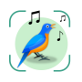 icon Bird Song ID(Bird Sound Identifier Bird ID)