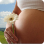 icon ru.fedr.pregnancy(Calendário da gravidez)