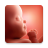 icon Pregnancy(Gravidez App Baby Tracker) 3.0