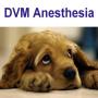 icon DVM Anesthesiology (Anestesiologia de DVM)