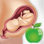 icon Pregnancy Tips Diet Nutrition (Dicas para gravidez Dieta Nutrição)