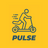 icon PULSE(Pesquisa
) 2.0.00