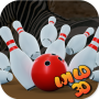icon 3D Bowling With Wild(Boliche com Selvagem)