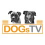 icon DogsTV(DogsTV
)