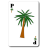 icon La Palmera(The Palm Tree - Jogo para beber) 1.0