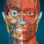 icon AnatomyLearning(Anatomy Learning - Anatomia 3D)