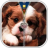 icon com.androbeings.puppy.zipper.lock.screen.free(Puppy Dog Zipper Lock Screen) 50.6