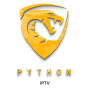 icon Python iptv