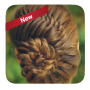 icon Easy braid hairstyles(Penteados fáceis de trança)