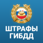 icon ru.rosfines.android(RosFines Multas da polícia de trânsito e seguro automóvel obrigatório)