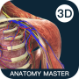 icon Anatomymaster