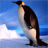 icon Penguin Jigsaw Puzzles(Quebra-cabeças de pinguins) 2.9.41