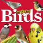 icon Cage & Aviary Birds(Aves Cage Aviary)