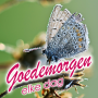 icon Goedemorgen elke dag(Bom dia, todos os dias Saudações em holandês
)