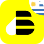 icon BEES(BEES Uruguai
)