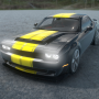 icon Car Simulator()