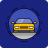 icon Vehicle Inspection(Inspeção veicular) 2.12