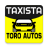 icon Toro Autos Conductor(T.A. Motorista de TV) 1.0.34
