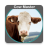 icon Cow Master(Cow Master - Gerenciamento de rebanho) 2.3.5