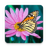 icon Butterflies Live Wallpaper(Borboleta papel de parede ao vivo) 1.0.9