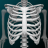icon Human skeleton Anatomy(Sistema Ósseo em 3D (Anatomia)) 3.5.4