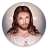 icon Jesus Wallpapers & Audio Bible(Jesus Papéis de parede e Áudio) 1.02