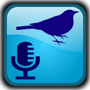 icon BirdUp(BirdUp - reconhecimento de birdsong)
