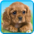 icon Talking Puppy(Filhote Falante) 1.480.0.605