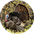 icon Turkey Calls(Turquia Chamadas) 4.1