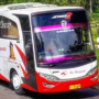 icon PO Haryanto Bus Indonesia (PO Haryanto Bus Indonésia)