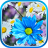 icon Daisies Flowers Live Wallpaper(Margaridas flores ao vivo papel de parede) 1.0.2