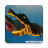 icon Guide For Feed and fish grow(Fish Feed And Grow Simulador Dicas
) 1.0