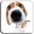icon Dog Licks Screen LWP (GUIA DE LICKS DOG LWP GRÁTIS) 1.2