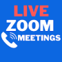 icon Guide for Zoom Cloud Video Conferences 2021(para Zoom Cloud Video Conferences 2021
)