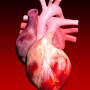 icon Circulatory System in 3D Anatomy(Sistema circulatório Anatomia 3D)