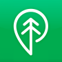 icon Treebal (Treebal
)