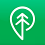 icon Treebal(Treebal
)