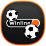 icon WinIine(WinIine
)