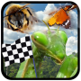 icon Insect Race (Corrida de insetos)