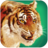icon Talking Tiger(Falando tigre) 1.1.2