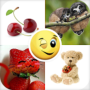 icon Stickers+ (Stickers +)