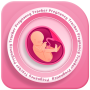icon Pregnancy(Rastreador de gravidez semana a semana
)