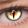 icon FoxEyesChange Eye Color(FoxEyes - Mudar a cor dos olhos)