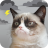 icon Grumpy Weather(Tempo mal-humorado do gato) 5.8.6