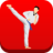 icon Taekwondo Workout(Taekwondo treino em casa
) 1.08