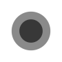 icon Gesture