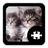 icon Cats & Kittens Puzzle(Gatos gatinho quebra-cabeça) 1.6.0